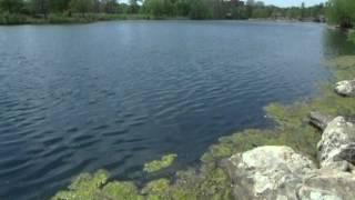 Moments Of Tranquility 3