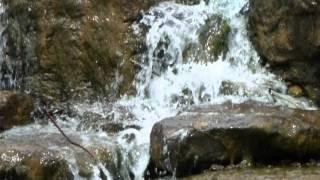 Moments Of Tranquility 4