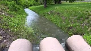 Moments Of Tranquility 5