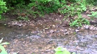 Moments Of Tranquility 6